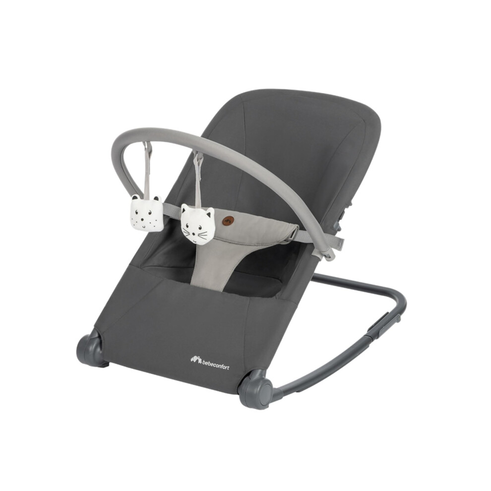 Bebeconfort Aster, Baby Rocker, 0–2 Years, Lightwe Bébéconfort