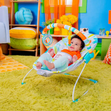 Bright Starts Baby Bouncer Soothing Vibrations Infant Seat Removable