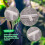 Plastic Tee Shape Aquarium 3-Way Air Valve Connectors 10 Pcs White 2