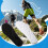 Υπερ-μαλακοί πάτοι από τζελ με στήριξη στην καμάρα, αναπνεύσιμοι και αντι-κόπωση 7