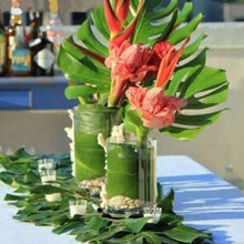 60 Pcs 6 Kinds Artificial Leaves Tropical Plant Leaves Faux Monstera Leaves Stems for Hawaiian Luau Party Decorations, Jungle Beach Theme Party