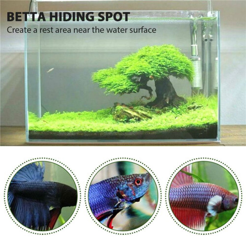 6 Stuks Betta-Hangmatspeelgoed, Aquariumplasticfabriek voor Betta -Accessoires 2
