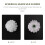 30 pcs Carnations  Artificial Flower Silk Spherical Heads Wedding Decor White 5