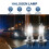 4 X H7 Car Headlight Bulbs 12V / 55W Halogen Standard Lamp Light 3