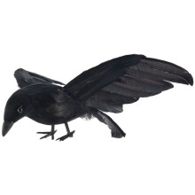 Accessoire de plumes de Toussaint Oiseau de corbeau grand 25x40cm ailes deployees Jouet Corbeau noir jouet de modele, Accessoire de performance