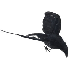 Halloween prop feathers Crow bird large 25x40cm spreading wings Black Crow toy model toy,Performance prop