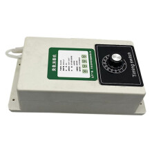 Generatore di Ozono da 2000 /H con Timer per Sterilizzatore D'Aria e Purificatore D'Acqua, Disinfezione per La Manutenzione Della Piscina, Spina USA