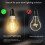 Tuya Zigbee  Filament Bulb 7W LED Light Lamp E27 Dimmable Lighting 806Lm CCT  Dimmable Indoor Decorative Light 4