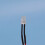 10Pcs 5mm Pre-Wired Diffused LED Diodes Light 20ma  3-6V White 5