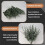 36 Pieces of Eucalyptus Stems Artificial Eucalyptus Leaf Stems True Gray Green Touch Leaf Branches 6