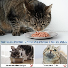 Stainless Steel Cat Bowls, 6.7" Wide and Shallow Cat Food Bowl Set with Silicone Ring for Non Slip, Metal Cats Dishes