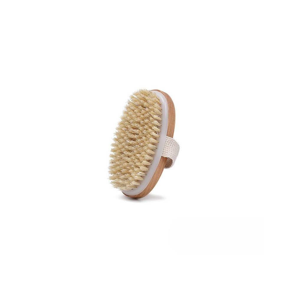 Shower Brush with Long Handle and Stiff Bristles for Wet and Dry Back Scrubbing and Exfoliation
