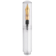 Penna Stilografica Tascabile con Contagocce Penna A Inchiostro con Pennino F Penna A Inchiostro Portatile Penna Tascabile Trasparente