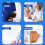 Human Hip Joint Intramuscular Injection Simulator Anatomical Model, Buttocks Care Puncture, Medical Teaching Resources 6