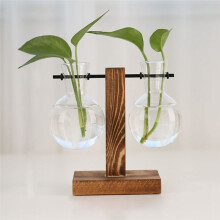 C Plantenvoortplantingsstations Desktopplantenterrarium, Glazen Plantenbak met Standaard, Voortplantingsstation voor Hydrocultuurplanten
