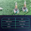 2PCS EC11EBB24C03 Dual Axis Encoder with  30 Positioning Number 15 Pulse Point Handle 25mm 5