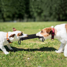 2 Handles Pet Training Bite Tug Toys Young Dog Chewing Arm Sleeve