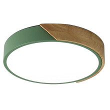 UltraThin LED Ceiling Light 50cm Green Flush Mount with 3 Color Modes for Bedroom Living Room
