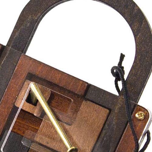High Difficulty Level IQ Lock Puzzle Classic Wooden Brainteaser Puzzles Game for Adults 2