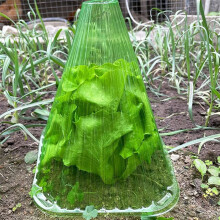 40 Pcs Plante Couverture RéUtilisable LumièRe Translucide Transparent Anti-Gel Serre Cloche Plantes Jardin VêTements Cour Fournitures