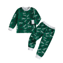 (6 Years, Green) Conjunto infantil de 2 piezas: sudadera de dinosaurio y pantalón deportivo. Ideal para otoño.