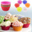 Silicone Baking Cups 24 Pack Reusable Nonstick Muffin Liners Oven Safe MultiColor Set 2