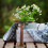 2Pcs Miniature Artificial Trees Baobab Tree Model for Micro Landscape Decor with Durable PVC 5