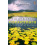 Connemara by Tim Robinson Paperback Book 1