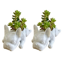 2PCS French Bulldog Shape Resin Succulent Planter Puppys Plants Planter,Desktop Plant Pot Dog Shape Bonsai