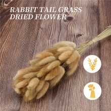50Pcs Natural Color Dried Flowers Real Flower Bouquet for Home Wedding Decoration Rabbit Tail Grass Bunchs