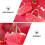 Red Paper Cake Packaging Box Cartoon Cow Biscuit Box Bakery Baking Box Like Gift Box with Chocolate Handle 5