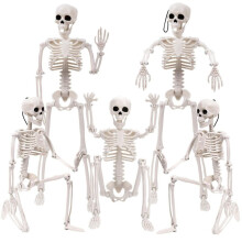 Halloween Skeletons Decorations, Posable Plastic Skeleton, Full Body Skeleton with Movable Joints
