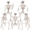 Halloween Skeletons Decorations, Posable Plastic Skeleton, Full Body Skeleton with Movable Joints 5