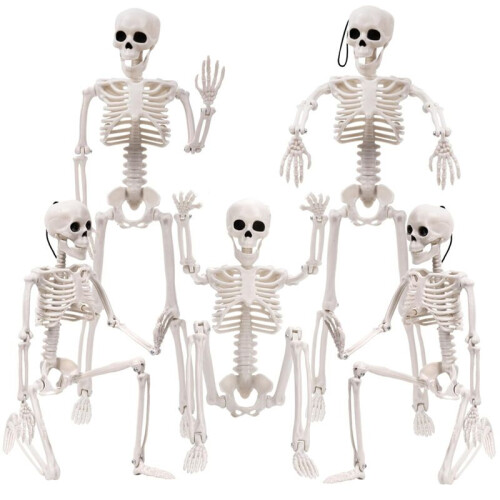 Halloween Skeletons Decorations, Posable Plastic Skeleton, Full Body Skeleton with Movable Joints