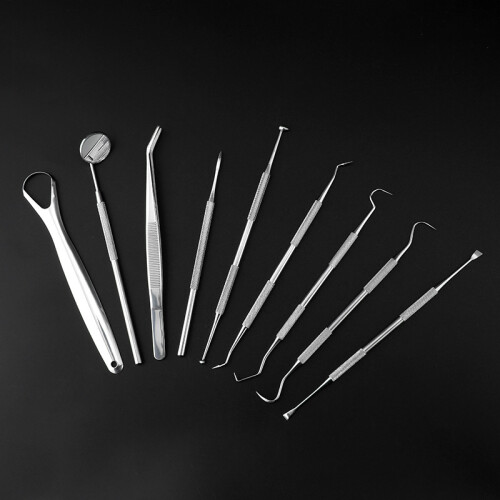 Zahnpflege-Instrumente 9 Teile mit Etui Silver 1