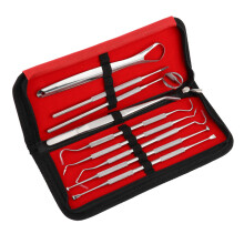 Tannpleiesett - 9 instrumenter med skrin Silver