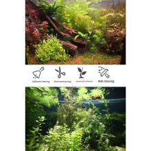 2 PièCes 48 cm Pince à éPiler en Acier Inoxydable Aquarium Plantes Aquatiques Outil D'Aquarium Plante D'Eau Pince IncurvéE Pince D'Alimentation