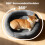 Skylos Orthopedic Plush Dog Bed Soft Washable Pet 3