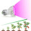 (E14)Full Spectrum 28leds Grow Light Uv E27 Gu10 E14 Growing Lamp Hydroponics Plant 7