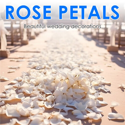 500 Rose petals  scattered white decoration Wedding Party 2