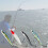 (Gray)Premium Quality Lure Artificial Bait Double Hook Design Essential For Fishing 5