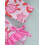 (2-3 Years, Pink) Μαγιό Rash Guard σχέδιο χελώνας 4