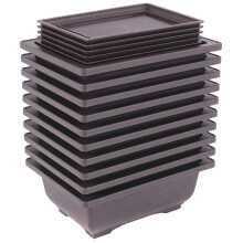 10 Packs Bonsai Training Pots with Tray Plastic Bonsai Plants Growing Pot for Garden Yard Living Room Balcony 16.5X12cm