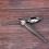 Culinary Drawing Decorating Spoon Set, 2 Pcs Saucier Drizzle Spoons,Decorating Pencil Spoon for Decorative Cake,Coffee 6
