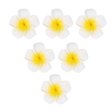 100StüCke WeißEr Schaum Hawaiian Frangipani KüNstliche Plumeria BlüTen BläTter BlüTen Haar Hut Hut Kranz DIY Hochzeits Dekoration 5Cm