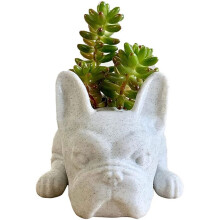Succulent Planter,Bulldog Shape Cute Bonsai Flower Pots for Home Garden Office Desktop Decor (No Plants)