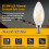 Dimmable E12 6W COB Edison Candle Flame Filament LED Light Bulb Lamp 10*3.5cm 3