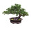 Artificial Bonsai Decor Pine Tree House Plants for Dining Room Table D 1