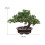 Artificial Bonsai Decor Pine Tree House Plants for Dining Room Table D 2