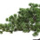 Artificial Bonsai Decor Pine Tree House Plants for Dining Room Table D 3
